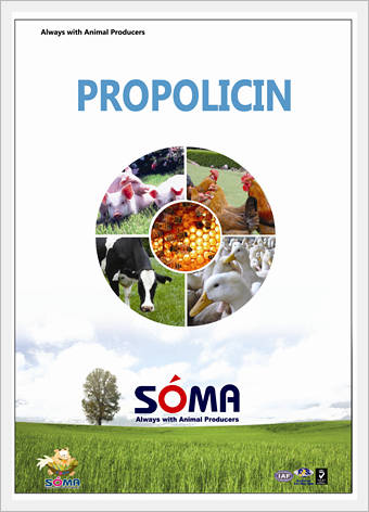 Propolicin(Natural Antibiotics Containing ...  Made in Korea